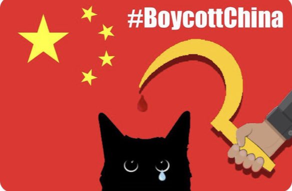@GlassOn96351861 @Echinanews #CatAbusersChina
＃中国猫虐待グループ
#中国猫のSOS