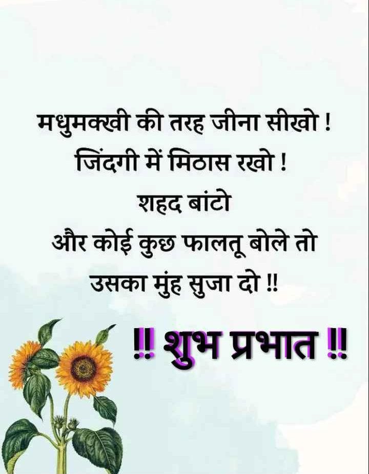 Good morning everyone