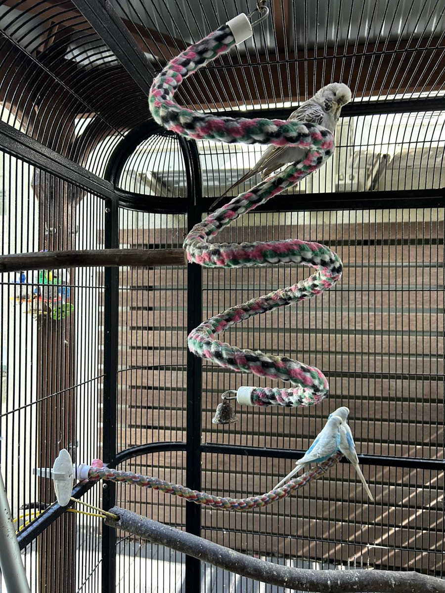 Peter Karam tweet media