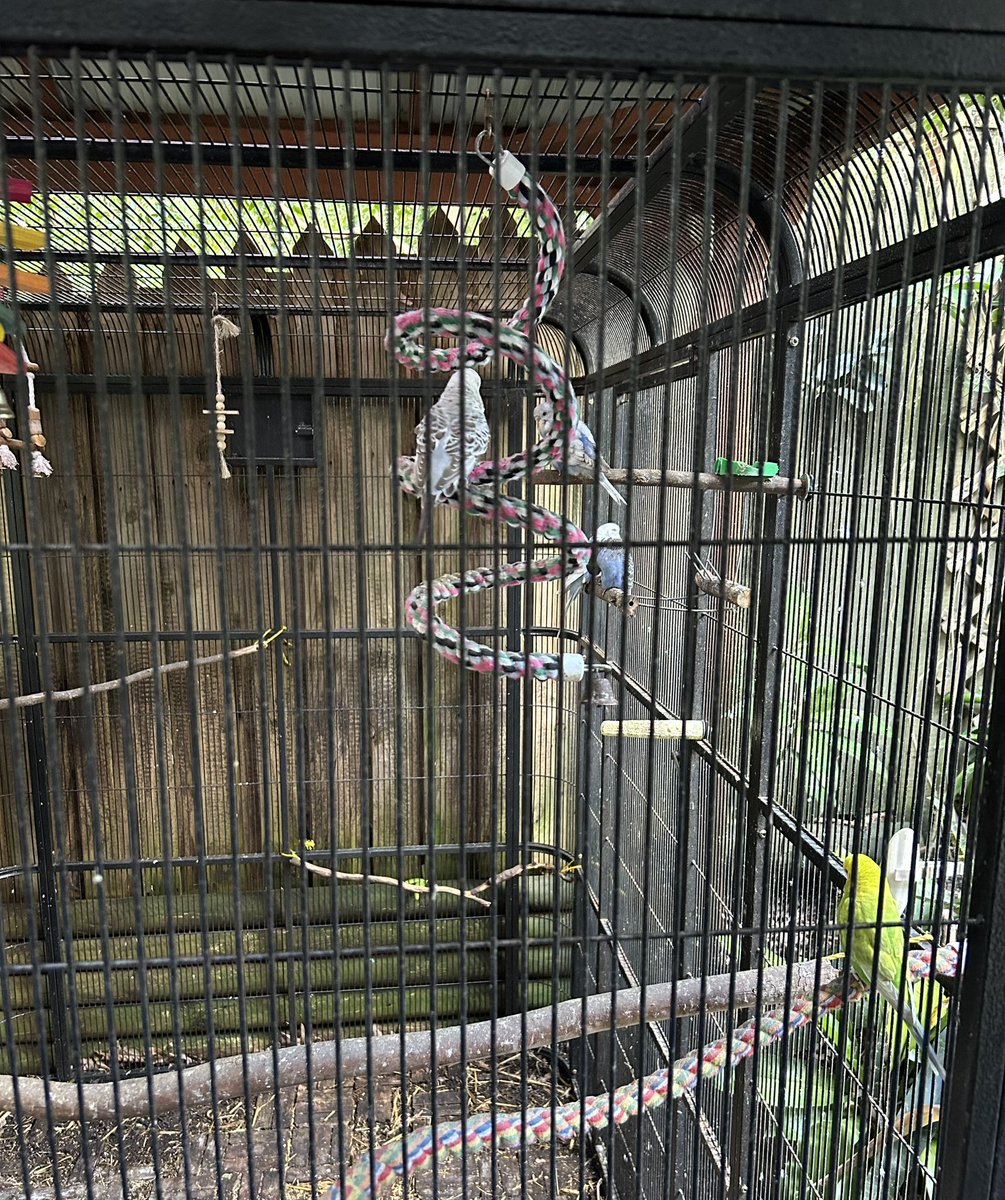 Peter Karam tweet media