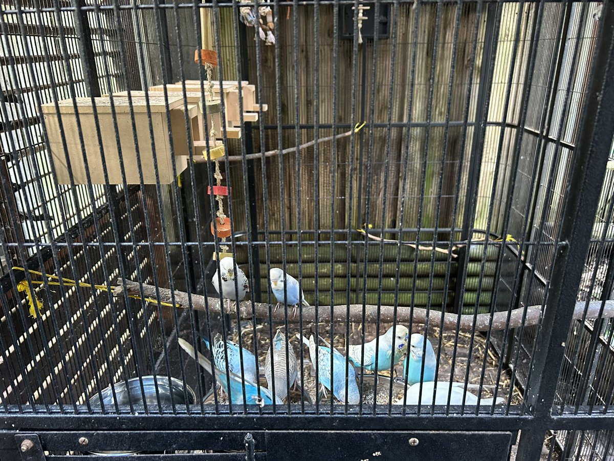 Peter Karam tweet media