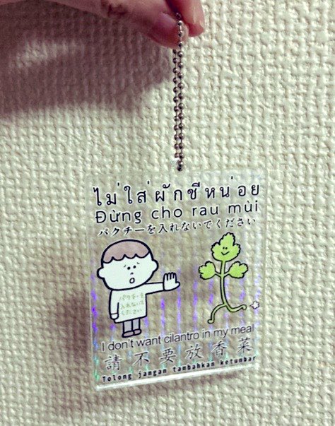 tawashi3333's tweet photo. 【新作アクキーの紹介】
パクチーが苦手な人のためのアクキー
1000円
タイ語・ベトナム語・英語・中国語・マレー語で「パクチーを入れないでください」的なことを書いてます

孟子2体アクキー(キラキラしている)
1000円
角度によってキラキラ光る透明アクキーです https://t.co/C3g74dazmm