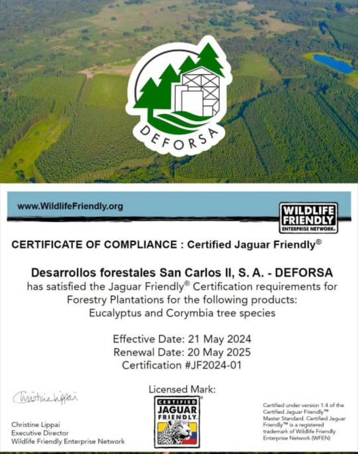 ProyectoSebraba's tweet photo. Venezuela recibe su primera certificación Jaguar Friendly, la cual fue otorgada a la empresa DEFORSA.

Empresa con la que venimos trabajando en la implementación de estrategias antidepredatorias tanto en sus predios como con los vecinos. https://t.co/OfJCaxUDEA