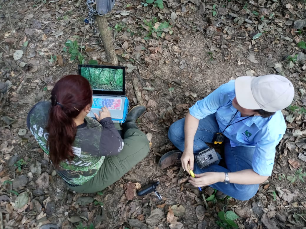 ProyectoSebraba's tweet photo. Estamos convencidos que la investigación, educación ambiental y acciones de conservación son fundamentales para preservar especies como el jaguar, y las alianzas con empresas privadas son necesarias, ya que son sitios claves que funcionan como corredores ecológicos. https://t.co/ONz2FKGtjI