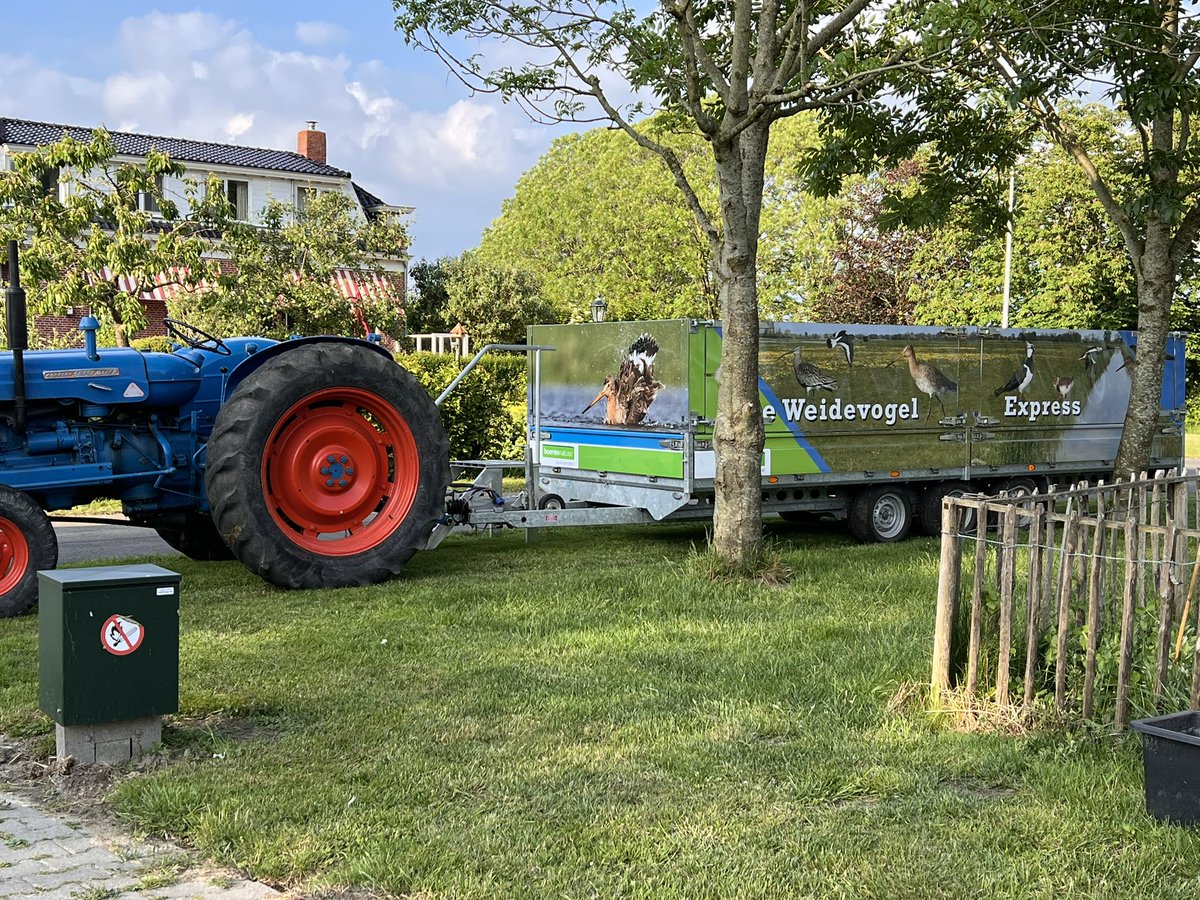 Mariska_Eggens's tweet photo. Gisteravond was ik ver van huis, bij een prachtige #weidevogel excursie in Onderdendam. Ruim 1,5 uur rijden maar wat heb ik genoten, en veel geleerd. Voor’t  eerst #kluut gezien en volop #gruttos #tureluurs, #kieviten,  #scholekster en #kuikens #gangbare_landbouw #boerennatuur💚 https://t.co/XzUPEABKRy