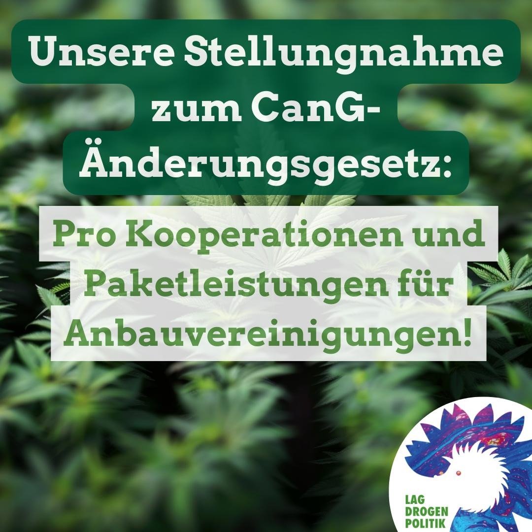 lag_drogen's tweet photo. Wir haben unsere Stellungnahme zum #CanG-Änderungsgesetz gegen die umfassenden Einschränkungen der #Anbauclubs um das Thema #Paketleistungen erweitert:
https://t.co/VFtF80xdbX 
#Anbauvereinigung #CSC #Cannabis #Hanf #Weedmob https://t.co/X8WELkpVKb