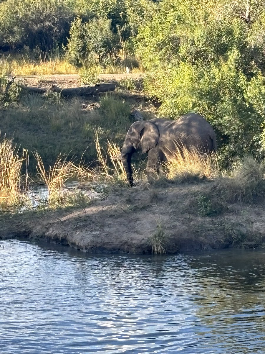 FabLabBU's tweet image. Had a fantastic time attending the @DNAforAfrica fourth DNA conference in Zambia, on the Zambezi river! Inspiring work (and nature) happening across the continent #4FDNAS