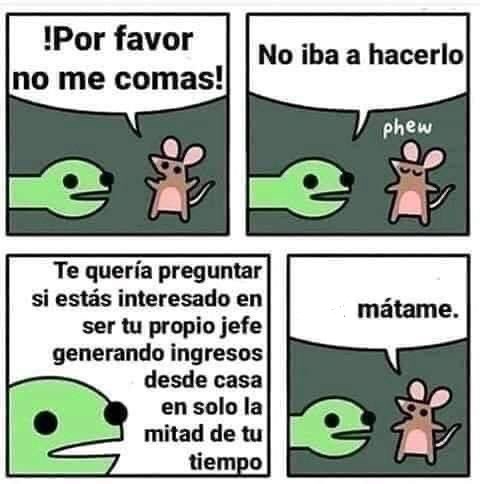 Ana_LaPatata (@ymuchosmemes) on Twitter photo 