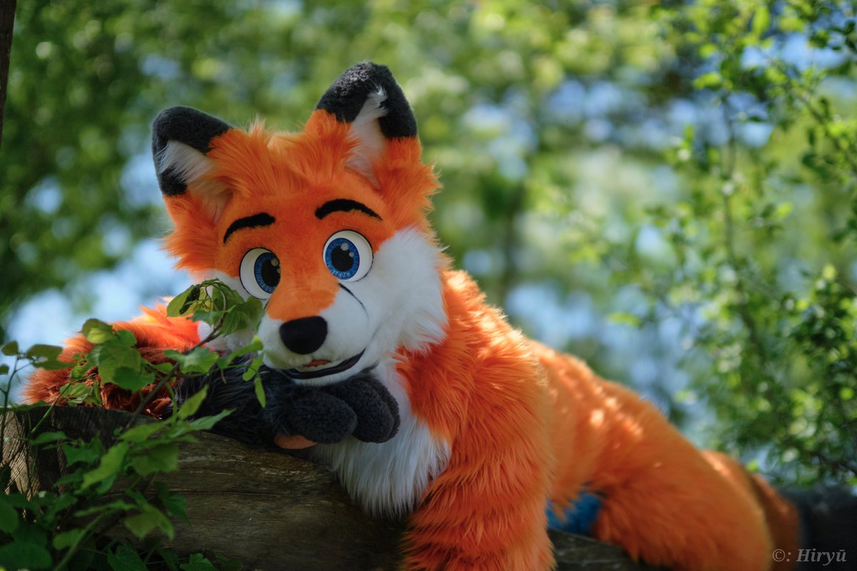 Have a relaxing #FursuitFriday ! 😊 📷@HiryuTheDragon 🧵@whitewingsuits 📍 #SchwarzwaldCon 7