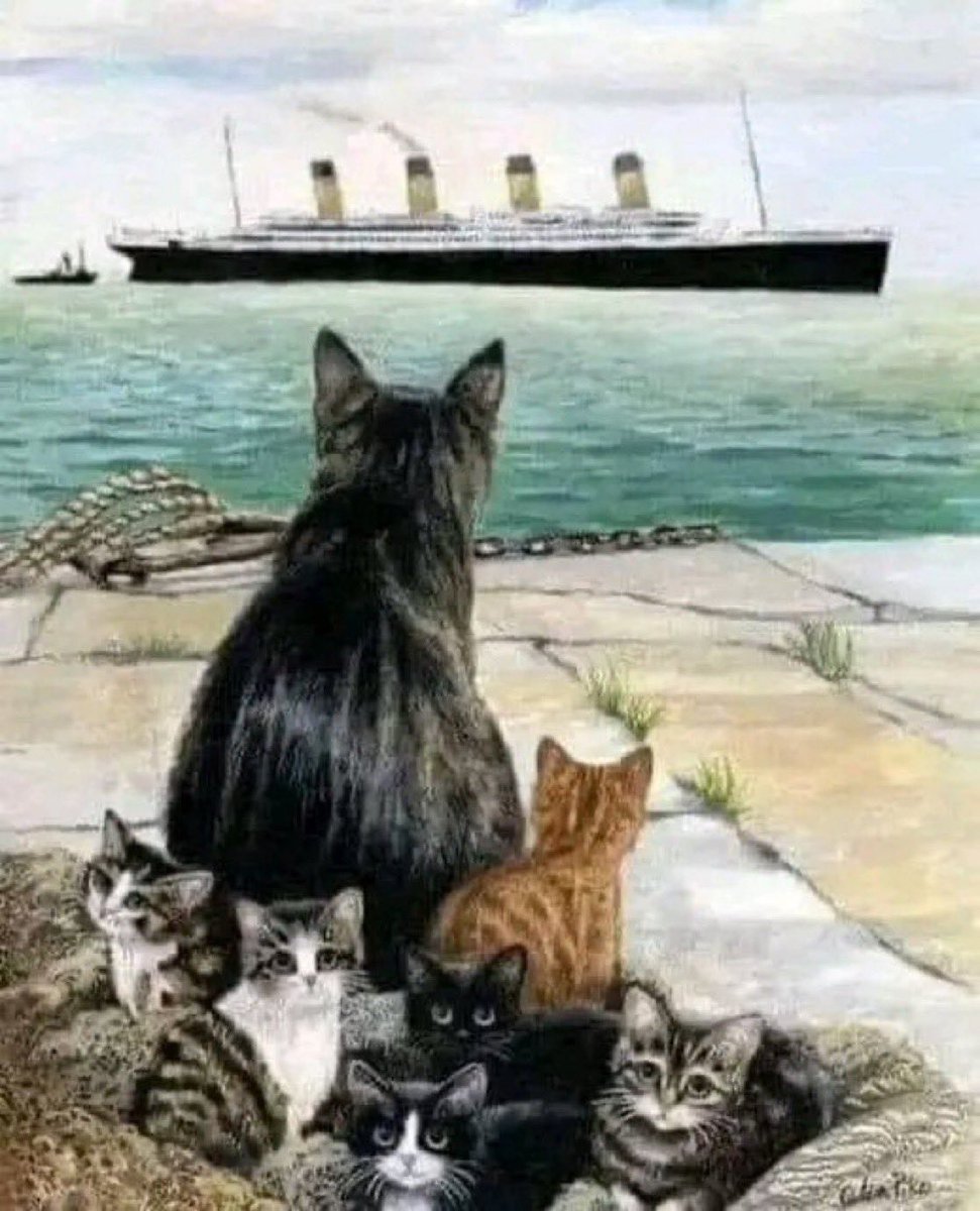 @fasc1nate T he 'Titanic Cat' who foresaw the sinking and retrieved her babies before the ship sailed. 😮 . Jenny the cat was the Titanic's mascot, brought on board to help fight rodents. She lived in the ship's galley and was cared for by a laborer named Jim Mulholland. During the sea