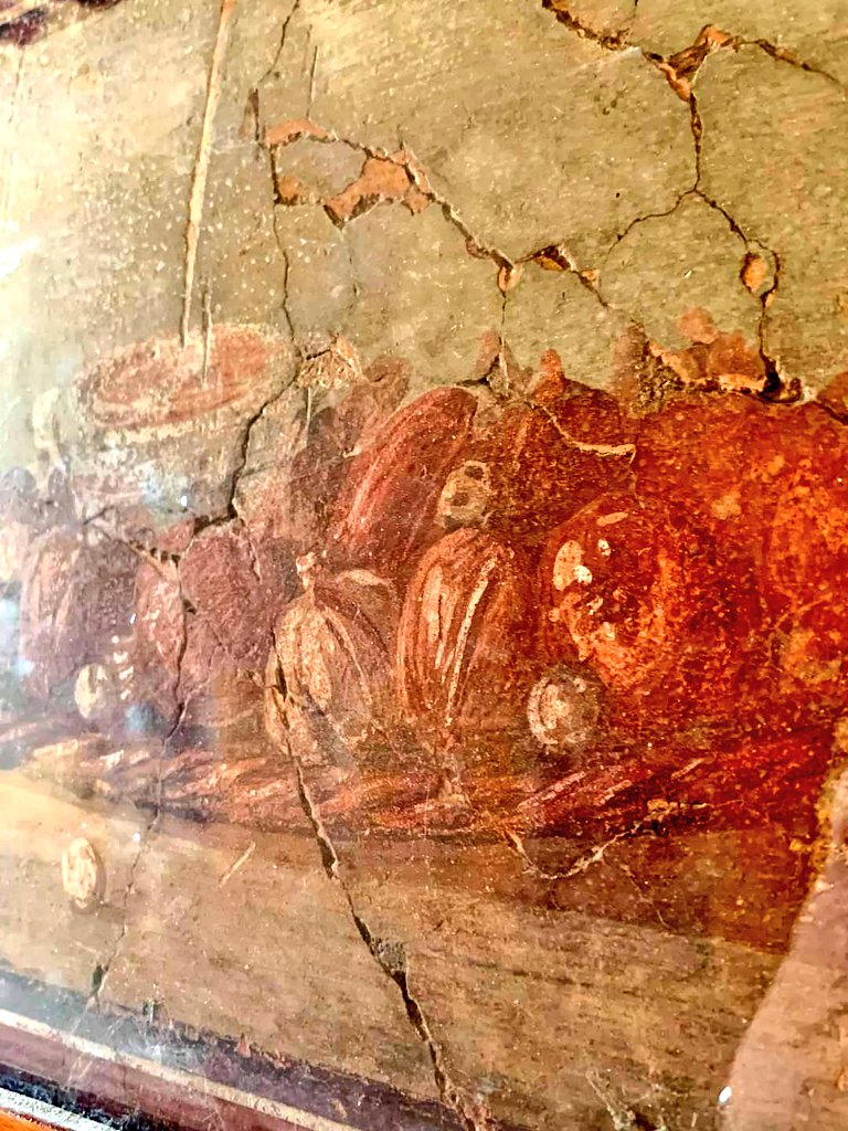 #FrescoFriday Two frescos from a wealthy town house in Herculaneum, portraying images of fruit. 📸 My own. #Archaeology #History #Art
