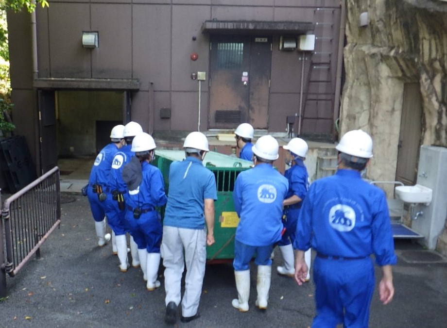 5月24日(金)、札幌市円山動物園からの #クレイ の移送が無事に完了したことをご報告いたします。長距離の移送となりましたので、ゆっくり体力を回復させた後、健康チェックを行いたいと思います。一般公開につきましては、決まり次第お知らせいたします。
#とべ動物園 #ライオン