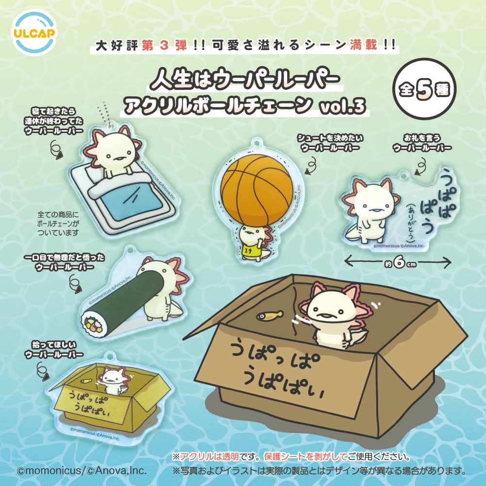 新品 人生はウーパールーパー 熱っぽく DARTSLIVE CARD 「さんぷん」 新品 人生はウーパールーパー 熱っぽく DARTSLIVE CARD 「さんぷん」