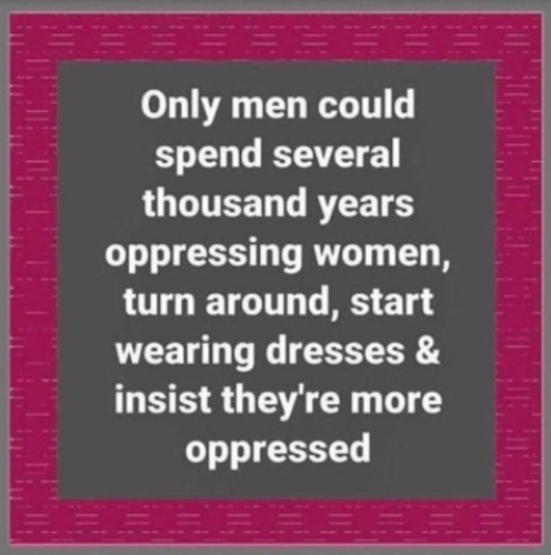 #TransWomenAreConMen #WomensRightsAreHumanRights #FactsOverFeelings #TruthMatters