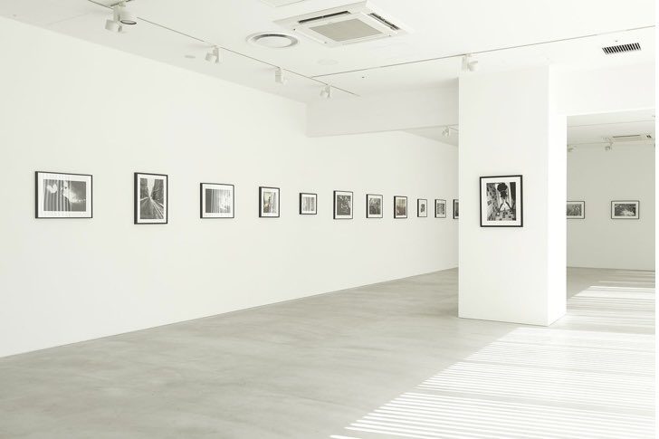 ノーマン・リーダス 画像bot tweet media