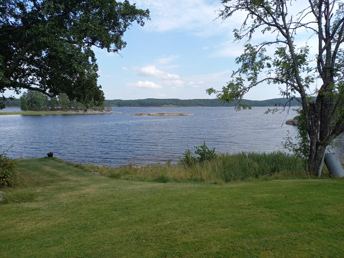 Bull (@warriorbull18) on Twitter photo 