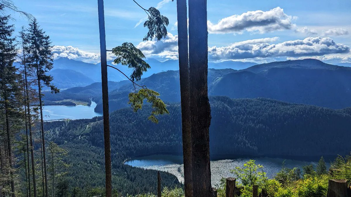 Peekaboo 💙
#BritishColumbia