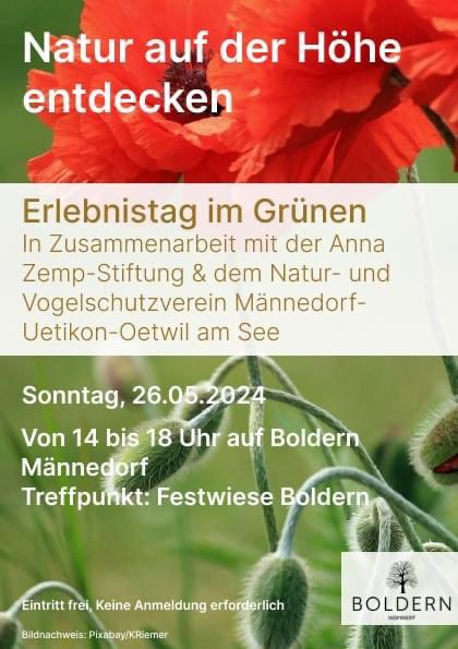 Natur auf der Höhe entdecken! 🐞🍃🐝🌼🐜

Am Erlebnis-Nachmittag 26.05.24 tauchen wir mit der Anna Zemp-Stiftung &amp; Natur- und Vogelschutzvereins Männedorf-Uetikon &amp; Naturnetz Pfannenstil in diese geheimnisvolle Welt ein!

Treffpunkt: Boldern 14Uhr

#bolderninspiriert #Natur