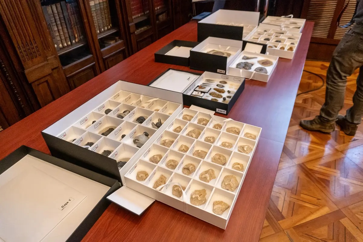 SamAbdelGhafour's tweet photo. ⭕️ 🇨🇱 - 🇲🇦 Chilean authorities returned 117 fossils dating back 400 million years to Morocco. The artefacts had been seized from smugglers by Chilean customs officials.
ℹ️ https://t.co/AiOF80pdTR https://t.co/iEwdHTni3o