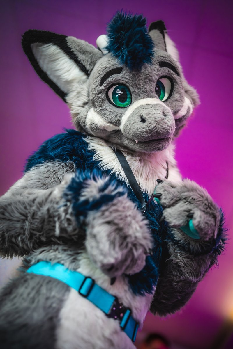 Why you so small? Picture by @Nighti331 #FursuitFriday