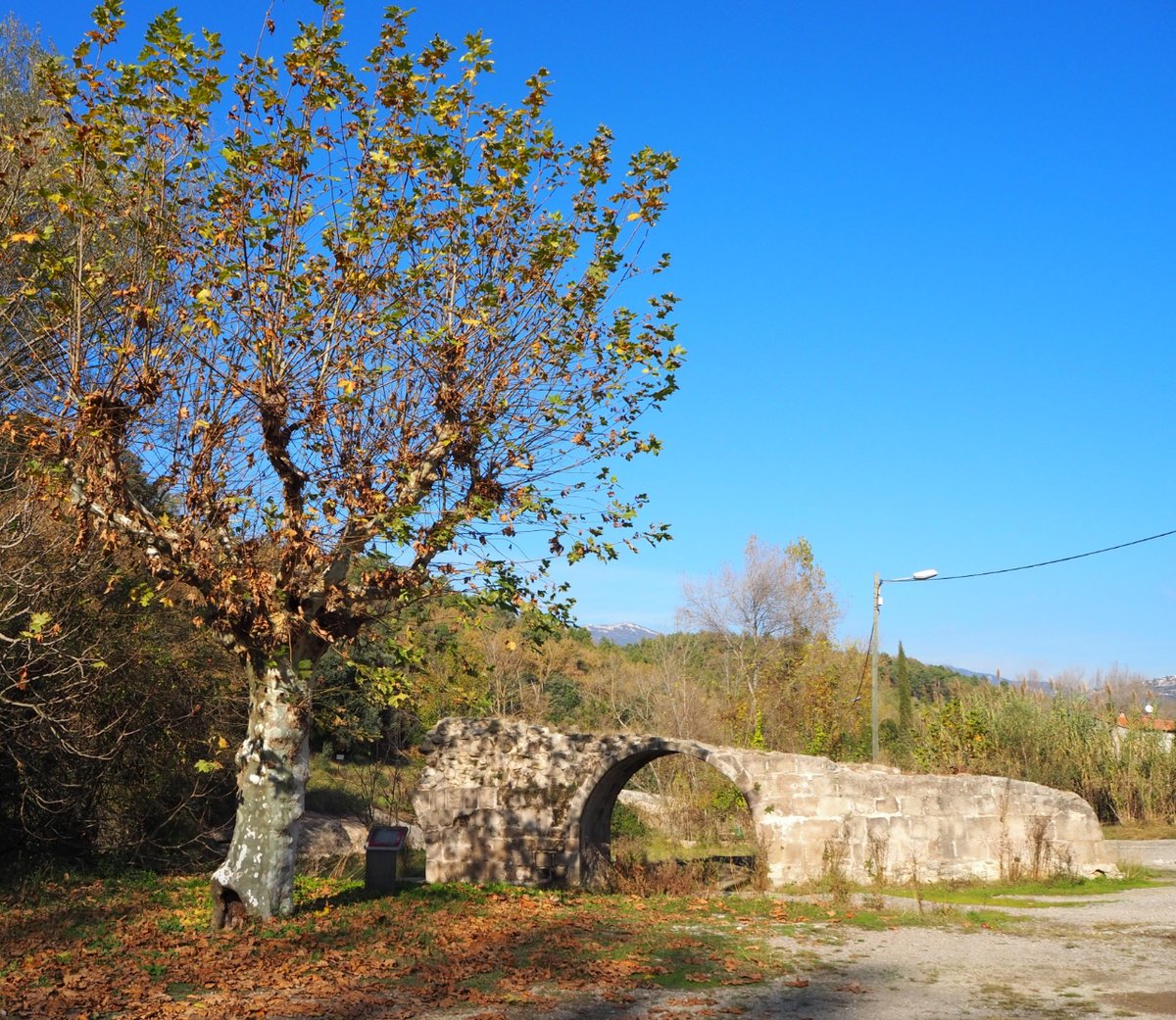 Bon dia amb el #patrimonideldia! El Pont vell d'Orniu a #Olvan és una construcció civil de la Baixa Edat Mitjana, situat a la llera del Llobregat. Sembla que hauria tingut unes característiques semblants a les del pont de Pedret: patrimonicultural.diba.cat/element/pont-m… @Ajunt_Olvan @CulturaDIBA