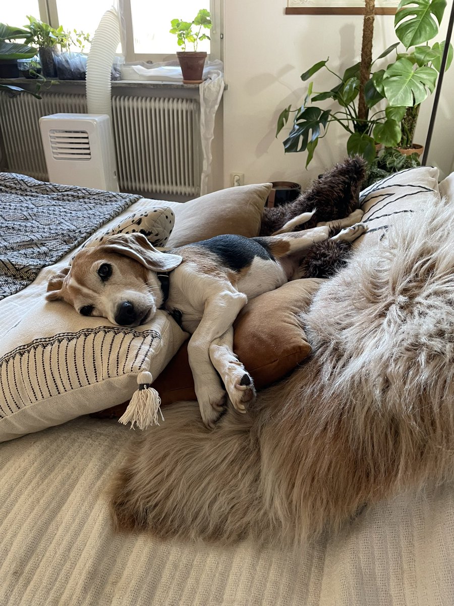 Please do not disturb. I’m currently displaying insane amounts of
relaxation and it requires full concentration 💪