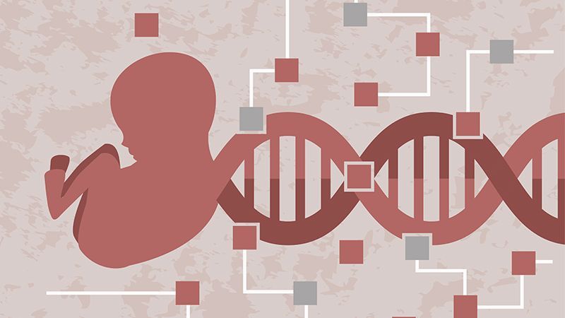 What is NIPD? We explore the technique and consider where it can be used to prevent or mitigate certain health conditions: buff.ly/44KvLTI 
#NIPD #NIPT #prenatal #genomics