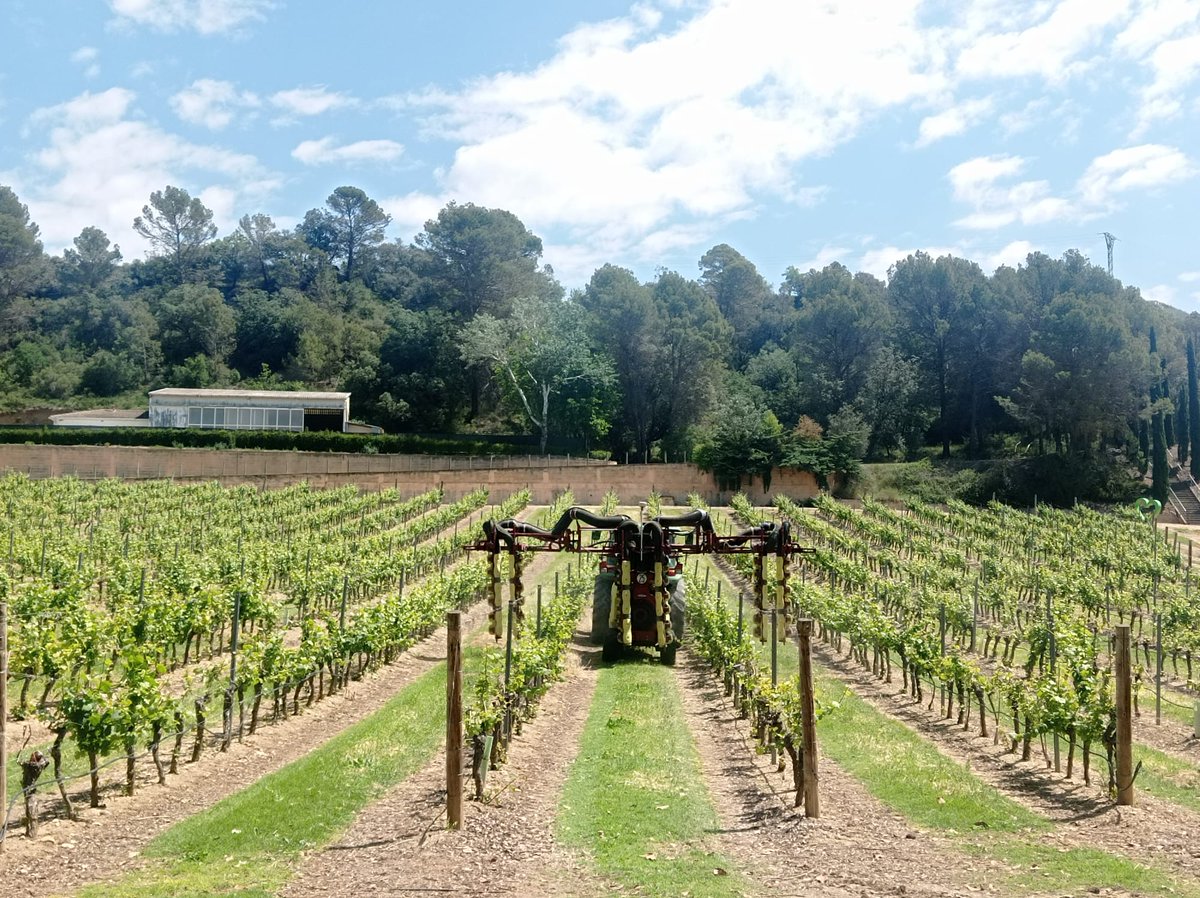 lamagrieps's tweet photo. Concluida la jornada del proyecto ADOPTA en @VinasdelVero 🚜💨💦🍇 Resultados y demostración en campo del pulverizador con aplicación variable en base a mapas y boquillas PWM. Un placer estar como en casa! @umadeabupc @TeeJetTech @hardimistblower @UPV @Univcordoba https://t.co/bhXddvj4zP