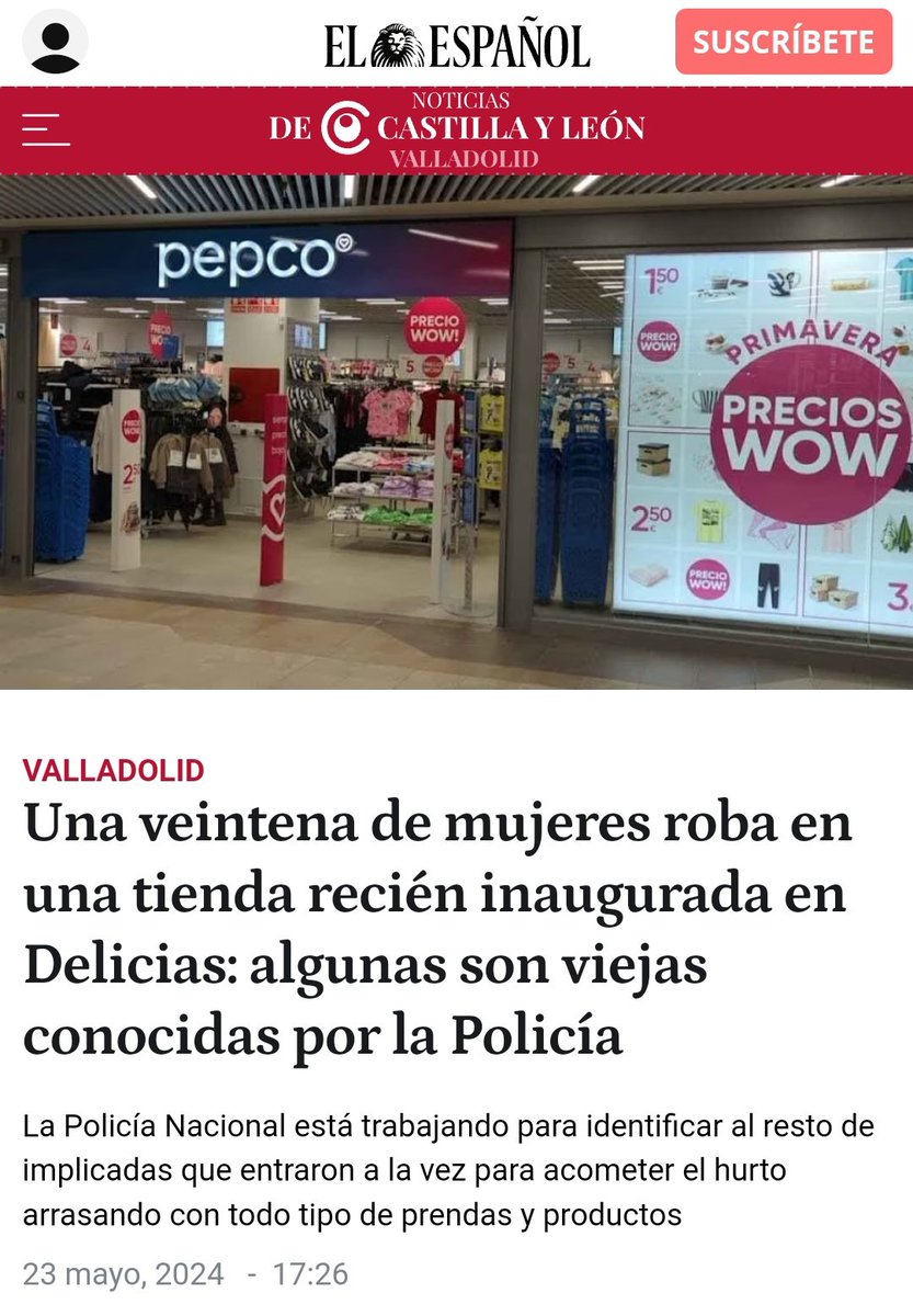 'Han entrado en tropel unas 50 personas. Se llevaban las cestas llenas y salían corriendo' 'Viene un clan y luego llega otro. Después vienen menores y luego llegan adultas, generalmente siempre mujeres' Etnias y multiculturalidad: la España del progreso que quieres y votas.