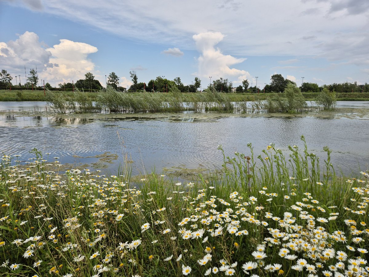 #Vicenza #Parcodellapace 65 ha di prati, acque, boschi, sport, tempo libero, incontri culturali per il benessere degli abitanti