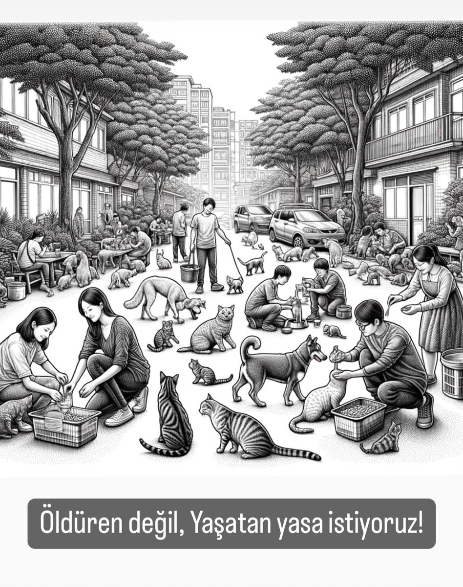 Öldüren değil, Yaşatan yasa istiyoruz!

 #SokakHayvanlarıSahipsizDeğil
