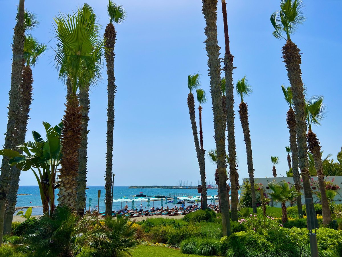 Let the gentle melody of the sea become your escape, immerse yourself in the soothing blue, nurture your mind and spirit with the harmonious color palette of summer patterns, tones and textures.

Good morning!🌊

Limassol