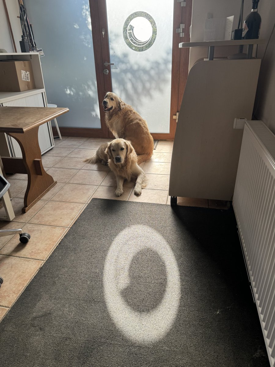 Adam Najmanowicz tweet media