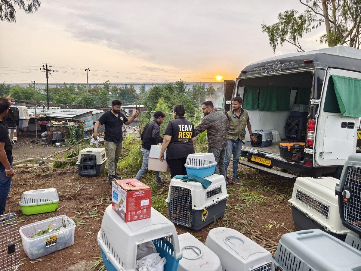 Neha Panchamiya tweet media