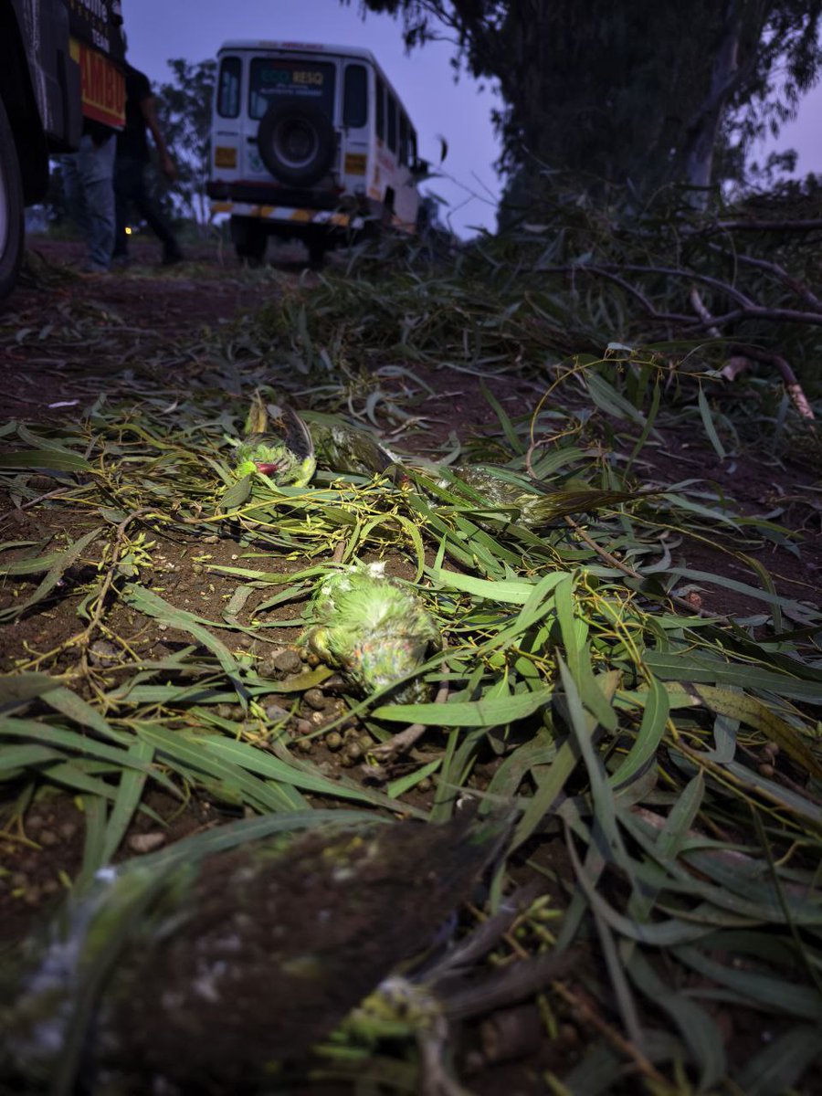 Neha Panchamiya tweet media