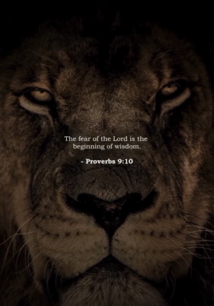 In Kees of Emergency 🚑 (@kees_zelf) on Twitter photo 