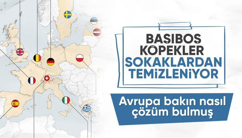 Avrupa'da başıboş köpekler için alınan tedbirler ensonhaber.com/gundem/avrupad…