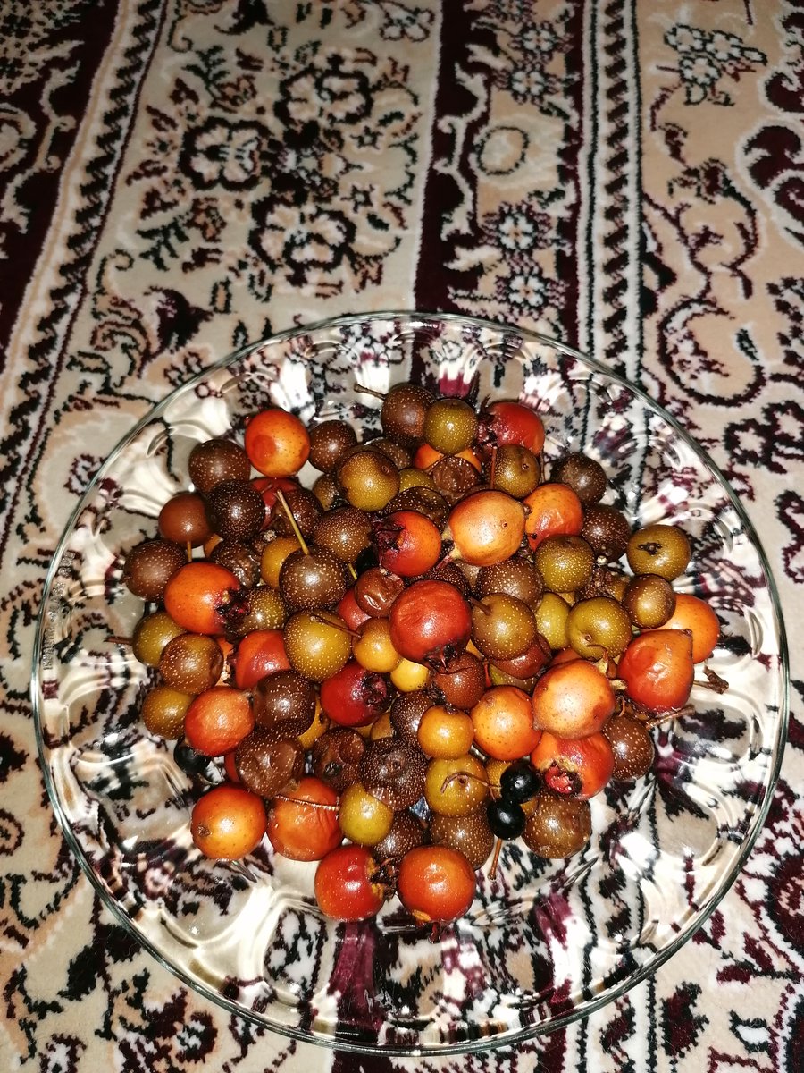 سلامممممممم من برگشتم