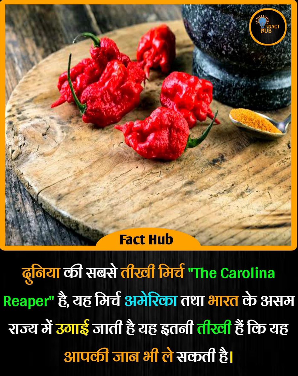 png60's tweet image. Good Afternoon!

The hottest Chilli 🌶️ in the World is "The Carolina Reaper".

This Chilli 🌶️ is grown in America and Assam State of India. It is so Spicy 🥵 that it can even kill you. #facthub