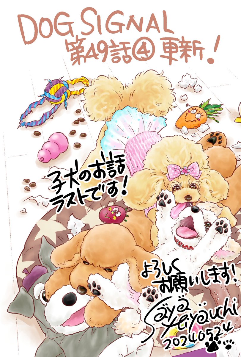 DOG SIGNAL最新話更新されました!
49話、子犬のお話ラストです。
よろしくお願いいたします。
読んでね🐶💖
カドコミ
https://t.co/fqrwaF3iFx
ニコニコ漫画
https://t.co/lp2IyVaFi9
#DOGSIGNAL #ドッグシグナル