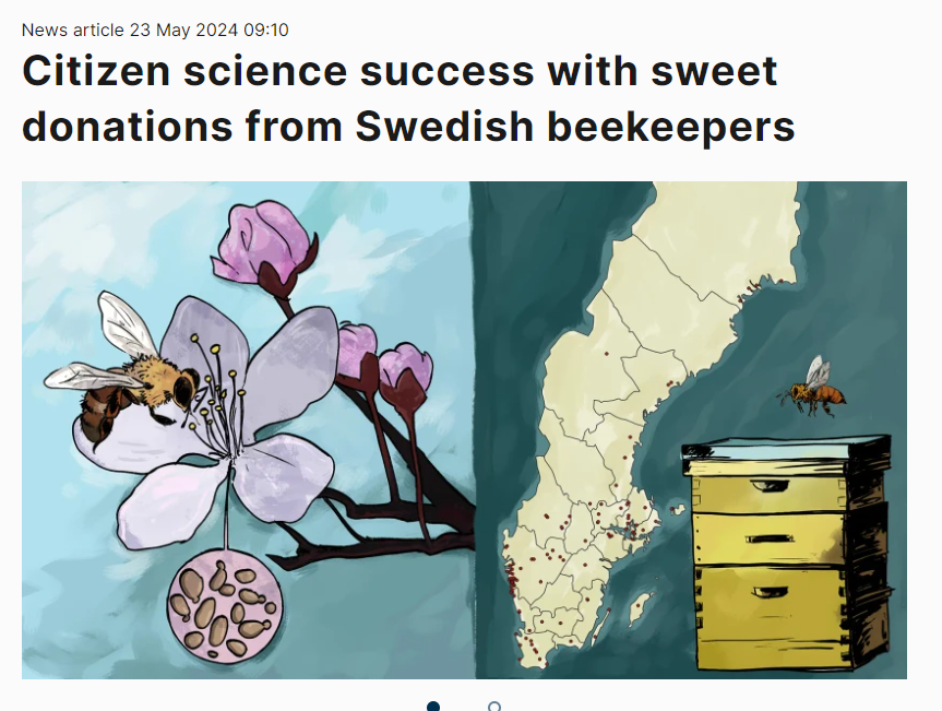 Indbio postdoc Karl Persson and Associate professor Cecilia Geijer are featured in Chalmers news. 
Citizen science success with sweet donations from Swedish beekeepers (chalmers.se)

👉 Division: chalmers.se/Indbio