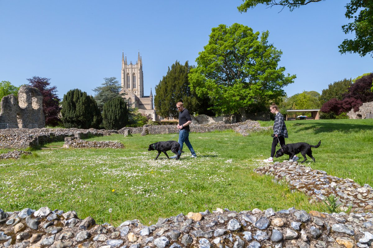 Enjoy the bank holiday weekend with every member of the family in beautiful Bury St Edmunds! 🦮 #BuryStEdmundsAndBeyond