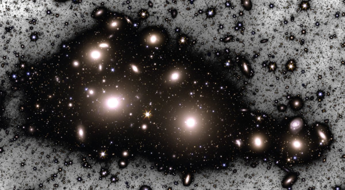 Researchers see the light: new scientific data from the Euclid Space Telescope reveals the mystery of the faint glow in the Perseus galaxy cluster 😮mpg.de/21955303/eucli… #PerseusGalaxy @MPE_Garching @ESA_Euclid