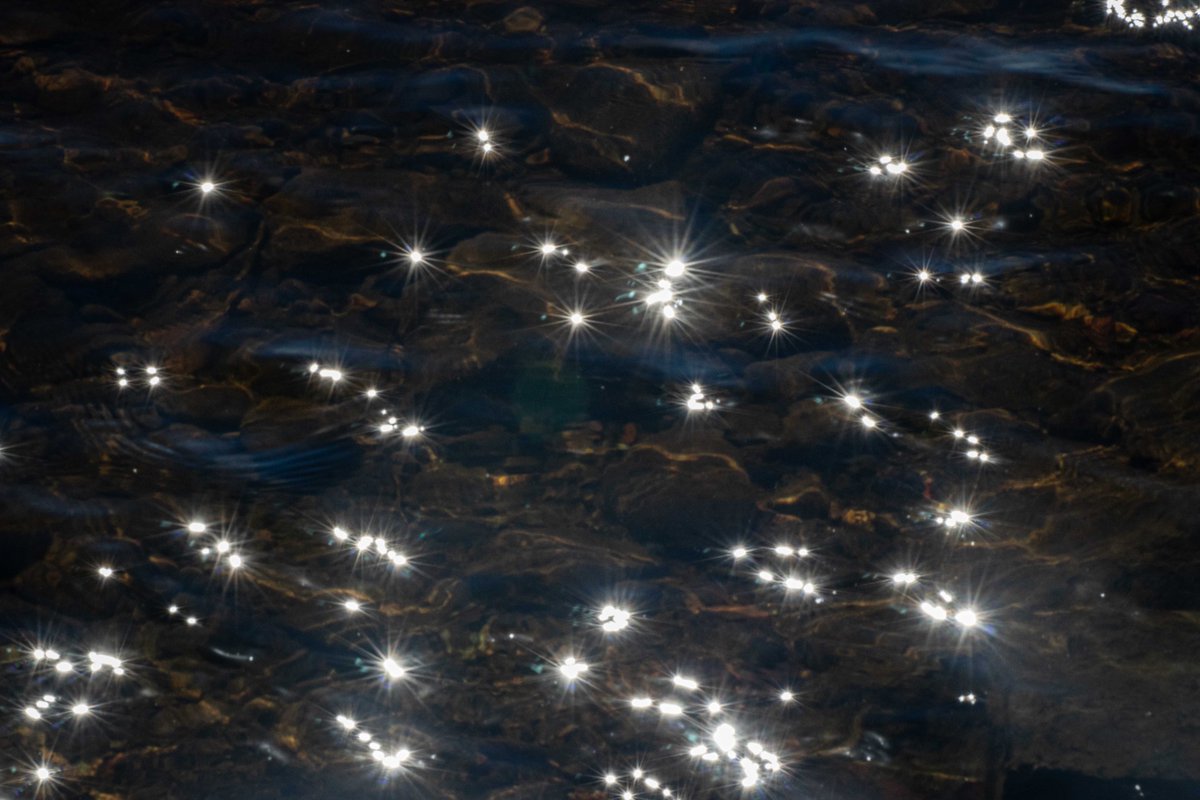 Mirja_Paljakka's tweet image. nice to swim with stars on water

#May24 #timetoswim #lakelife #photography #Finland