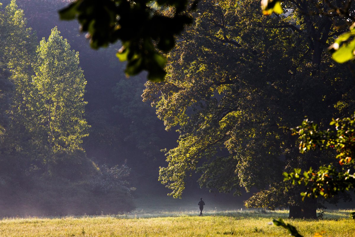 KlassikStiftung's tweet photo. Seit 1999 wird am 24.05. der Europäische Tag der Parke gefeiert. Wir haben mit dem Park Tiefurt, Ettersburg, Belvedere, Kochberg, Gutspark Oßmannstedt &amp; natürlich dem Park an der Ilm allerlei wunderschöne Parkanlagen, die Schutzraum &amp; Erholungsort bieten. Ein Besuch lohnt sich🌺 https://t.co/NuNkuvGaZC