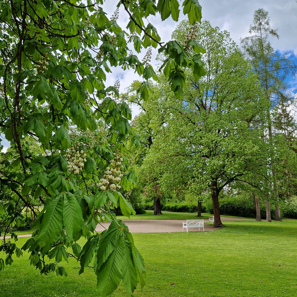 KlassikStiftung's tweet photo. Seit 1999 wird am 24.05. der Europäische Tag der Parke gefeiert. Wir haben mit dem Park Tiefurt, Ettersburg, Belvedere, Kochberg, Gutspark Oßmannstedt &amp; natürlich dem Park an der Ilm allerlei wunderschöne Parkanlagen, die Schutzraum &amp; Erholungsort bieten. Ein Besuch lohnt sich🌺 https://t.co/NuNkuvGaZC