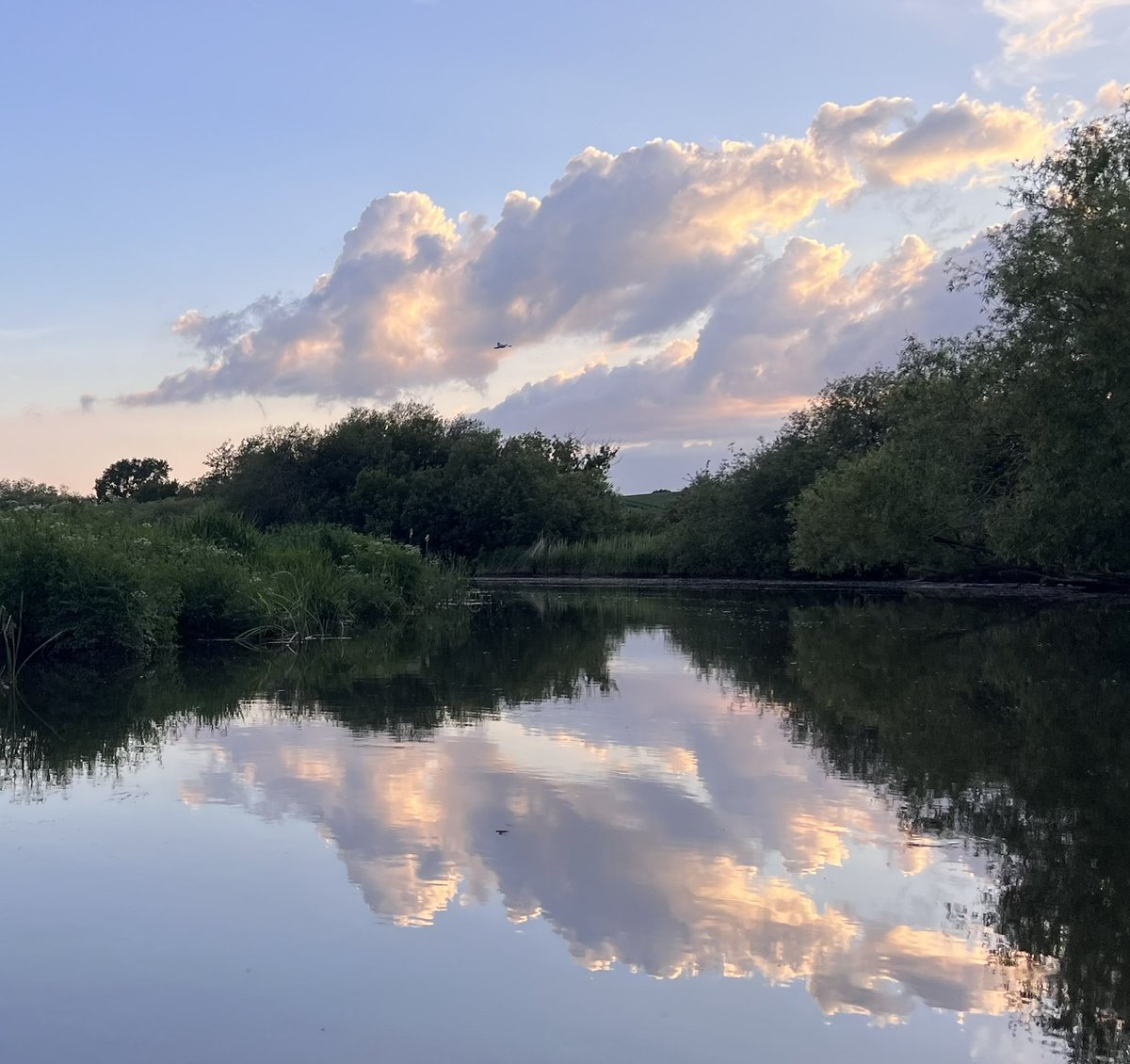 Beautiful evening on the River Stour in Kent. Spotted at least 6 🦫.