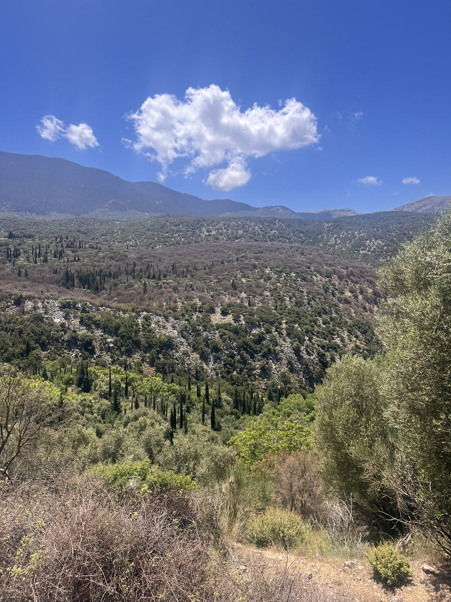 Kefalonia is the most beautiful Island. Cannot recommend it enough. Huge expanses of forested unspoilt mountains and crystal clear azure seas.❤️