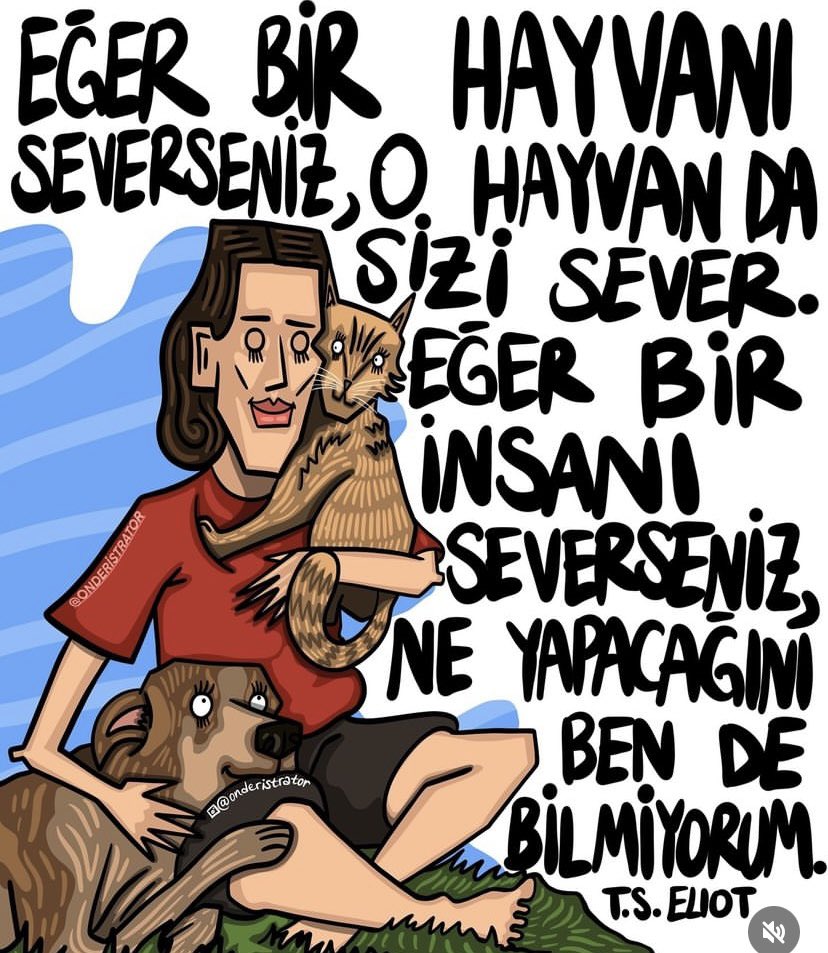 eecee1e's tweet photo. #hayvankatliamıistemiyoruz 
#hayvankatliamınason 
#Hayvanlaradokunmayın !!! https://t.co/4ldeg78hj1