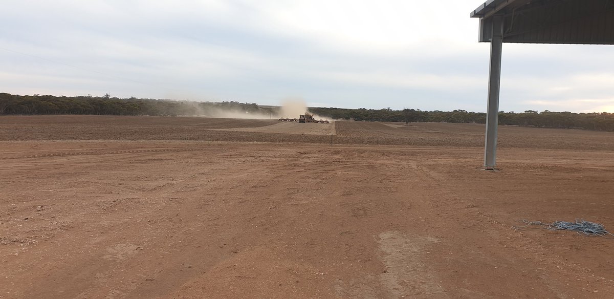 Peter Walch tweet media